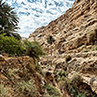 Wadi Kelt, 911x1365, 1.32Mb