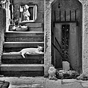 Old Jaffa, 1738x1281, 1.96Mb